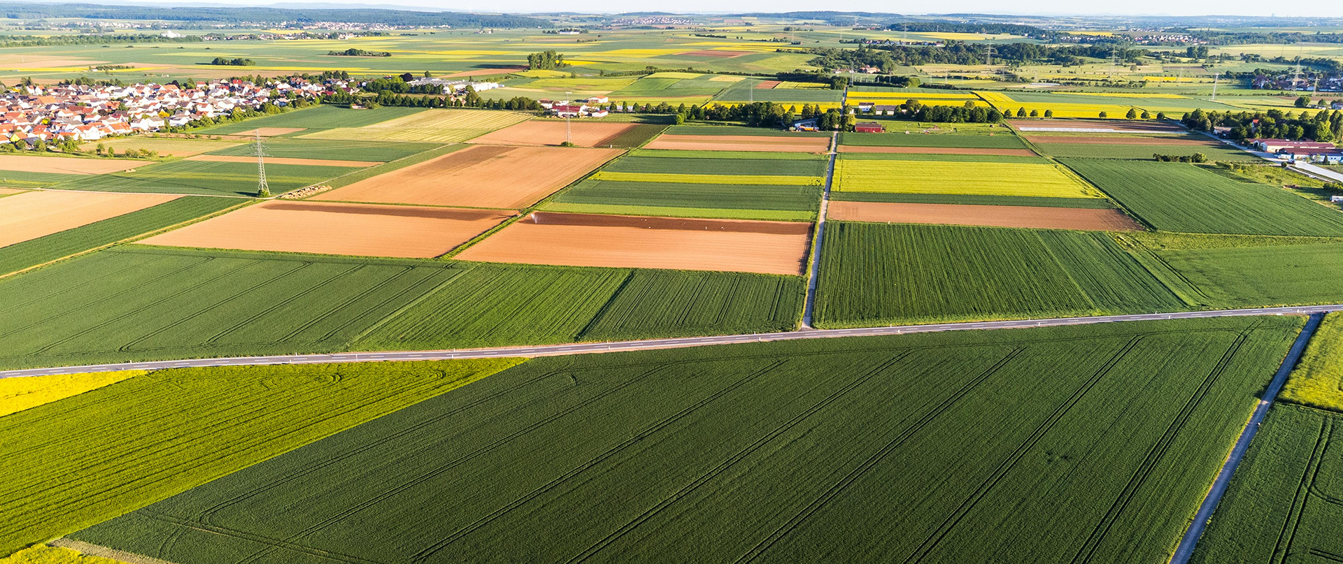 Agroalimentare